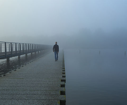 Morning Fog