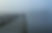 Morning Fog