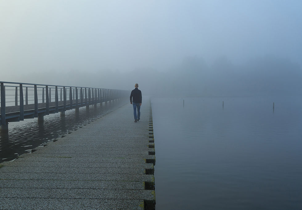 Morning Fog