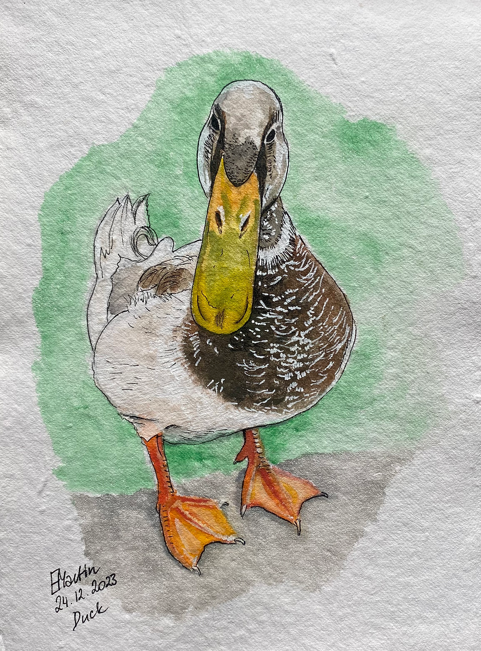 Mr Mallard