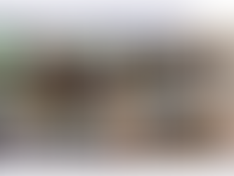 Mais uma turma de formação no tratamento não cirúrgico da Escoliose