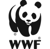 58568d4c4f6ae202fedf2721.png