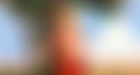 Festa de São Sebastião: Evento cultural tradicional de Jarilândia