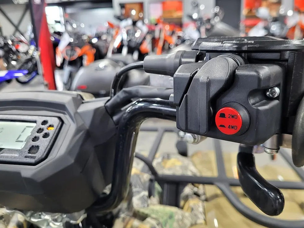 Miniature : Yamaha KODIAK 450EPS 2024