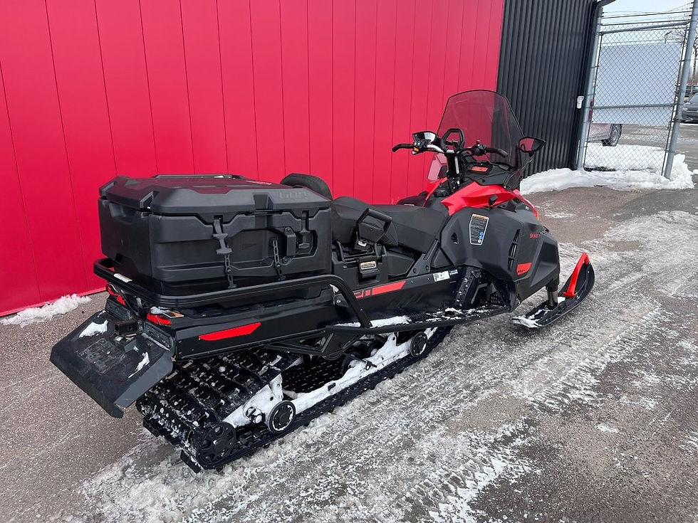 Thumbnail: 2022 Ski-Doo Skandic 900 ACE WT