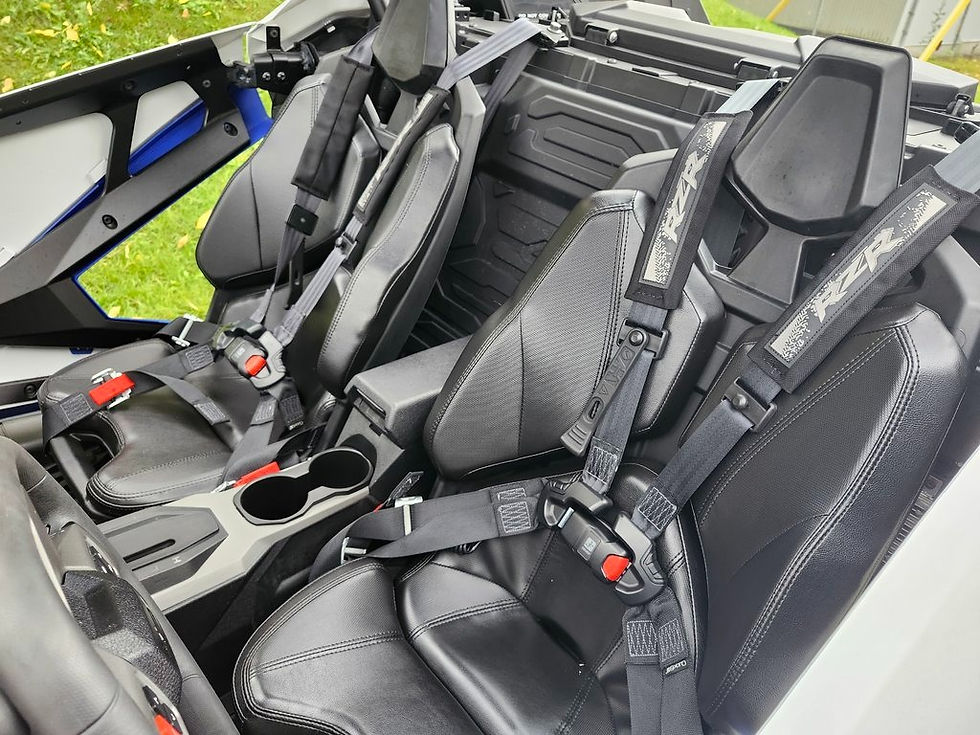 Miniature : RZR Pro XP Ultimate 2020