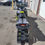 Thumbnail: 2023 Ski-Doo SUMMIT X EXPERT 850 TURBO 175