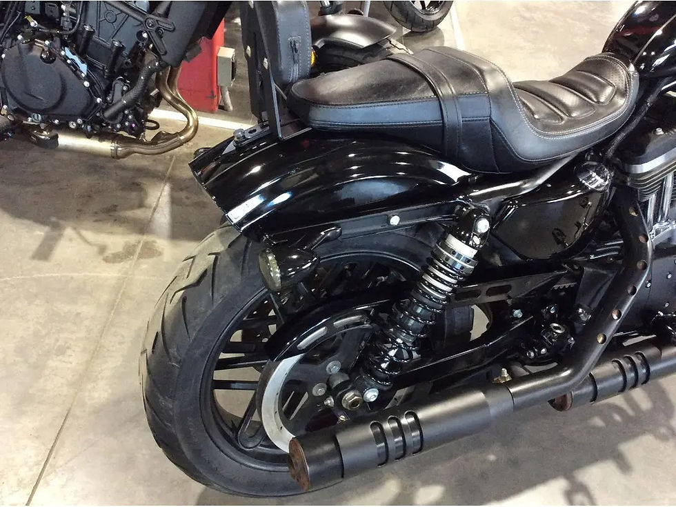 Miniature : 2018 Harley-Davidson Roadster 1200 XL