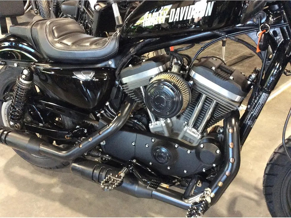 Thumbnail: 2018 Harley-Davidson Roadster 1200 XL