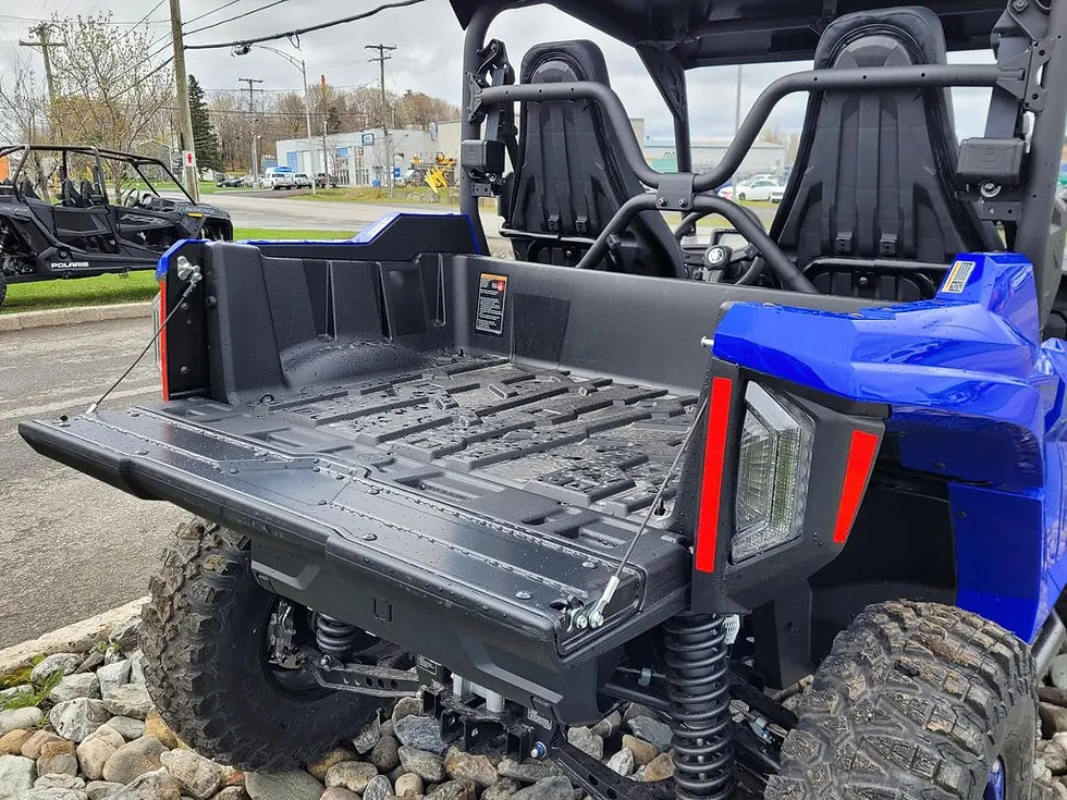 Miniature : amaha WOLVERINE RMAX2 1000 SPORT 2024