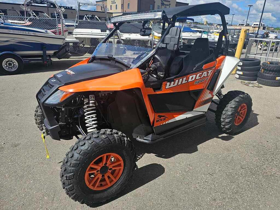 Thumbnail: 2018 Arctic Cat Wildcat 700
