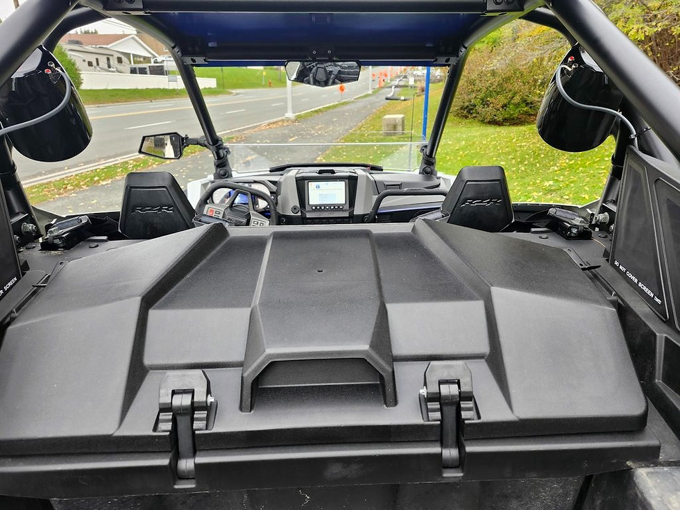 Miniature : RZR Pro XP Ultimate 2020