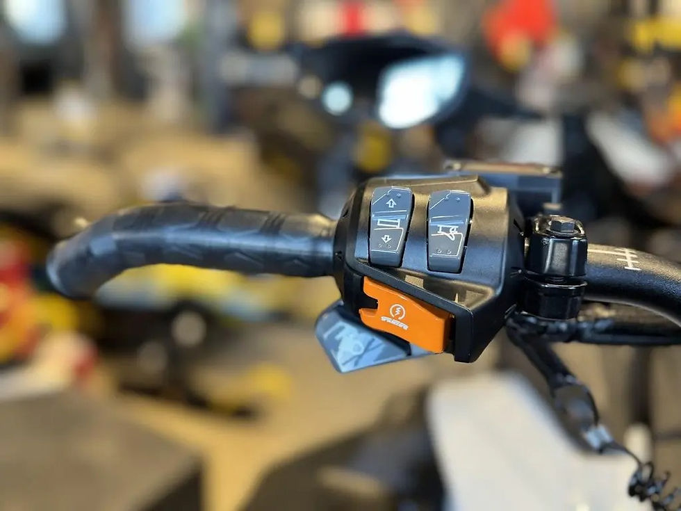 Thumbnail: 2025 Ski-Doo Expedition LE 20 900 ACE Turbo