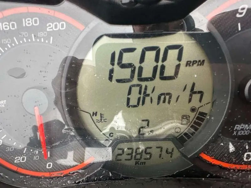 Miniature : 2019 Ski-Doo Renegade Enduro E 900 ACE