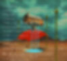 Blue Worm CD