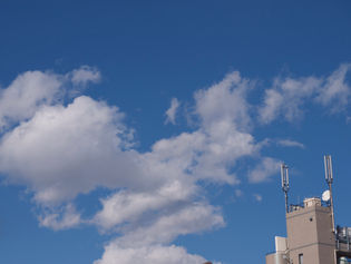 ブログを始めてみます