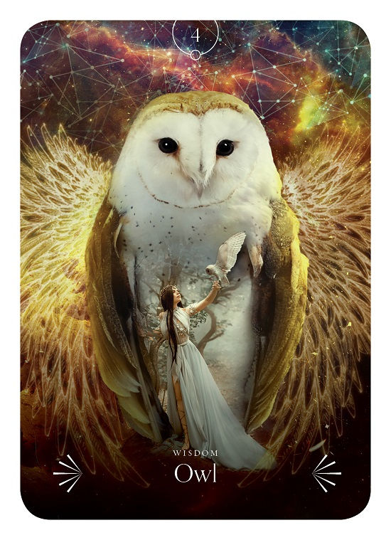 Thumbnail: Divine Animals Oracle