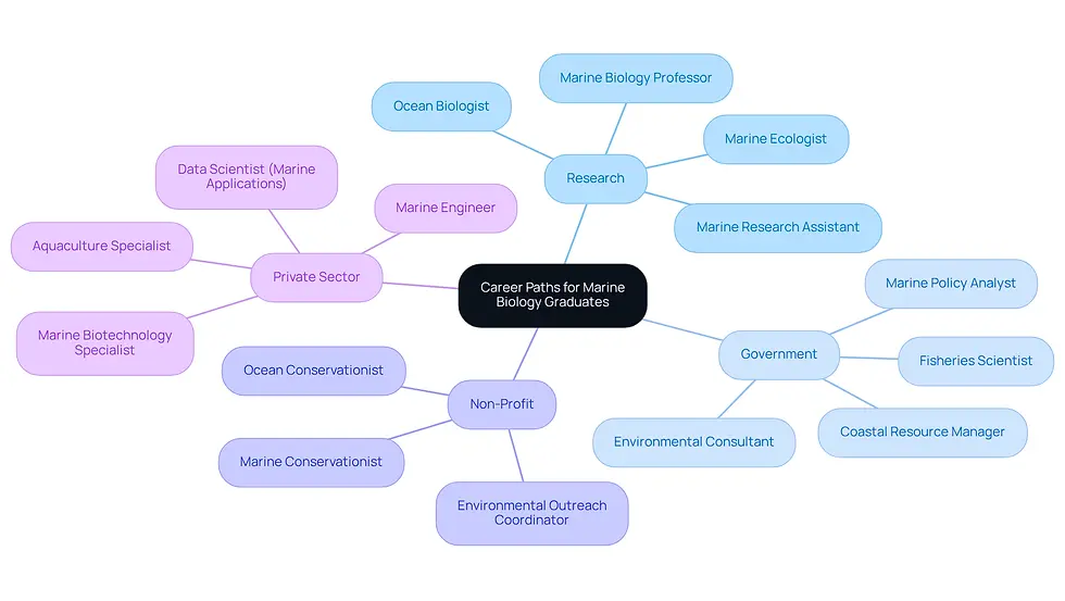 This mindmap shows the various career options available to marine biology graduates. Start at the center with the main theme, then follow the branches to see different categories of jobs and the specific roles within each category.