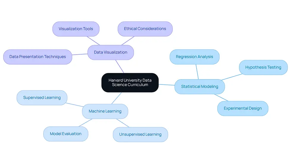 The center represents the main curriculum focus, while the branches show the key areas of study. Each area is essential for building a strong foundation in data science.