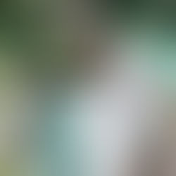 A Beginner's Guide To The Buffalo River