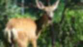 AdobeStock_6147086.jpeg