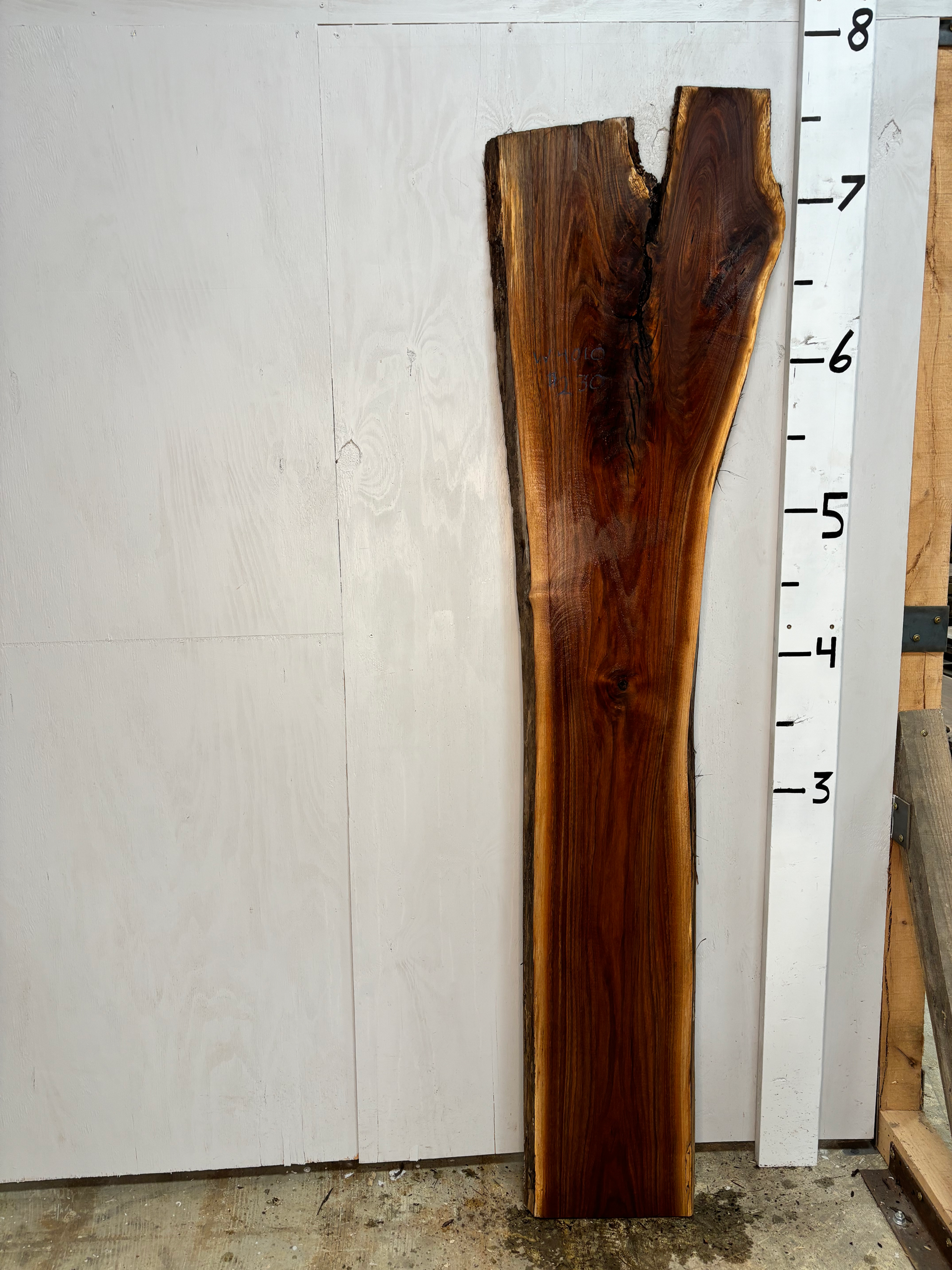 W4010 Walnut Slab