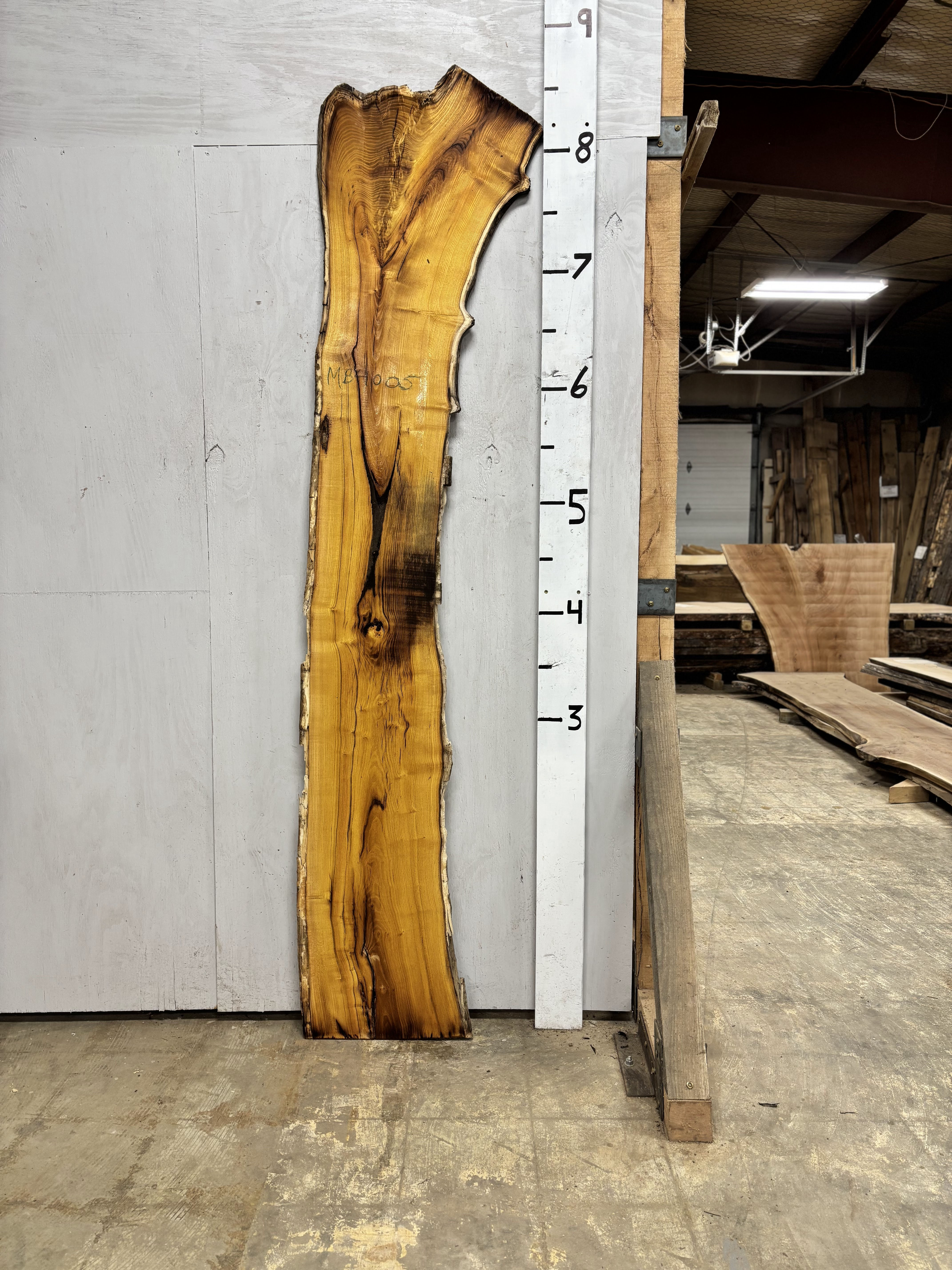 MB4005 Mulberry Slab