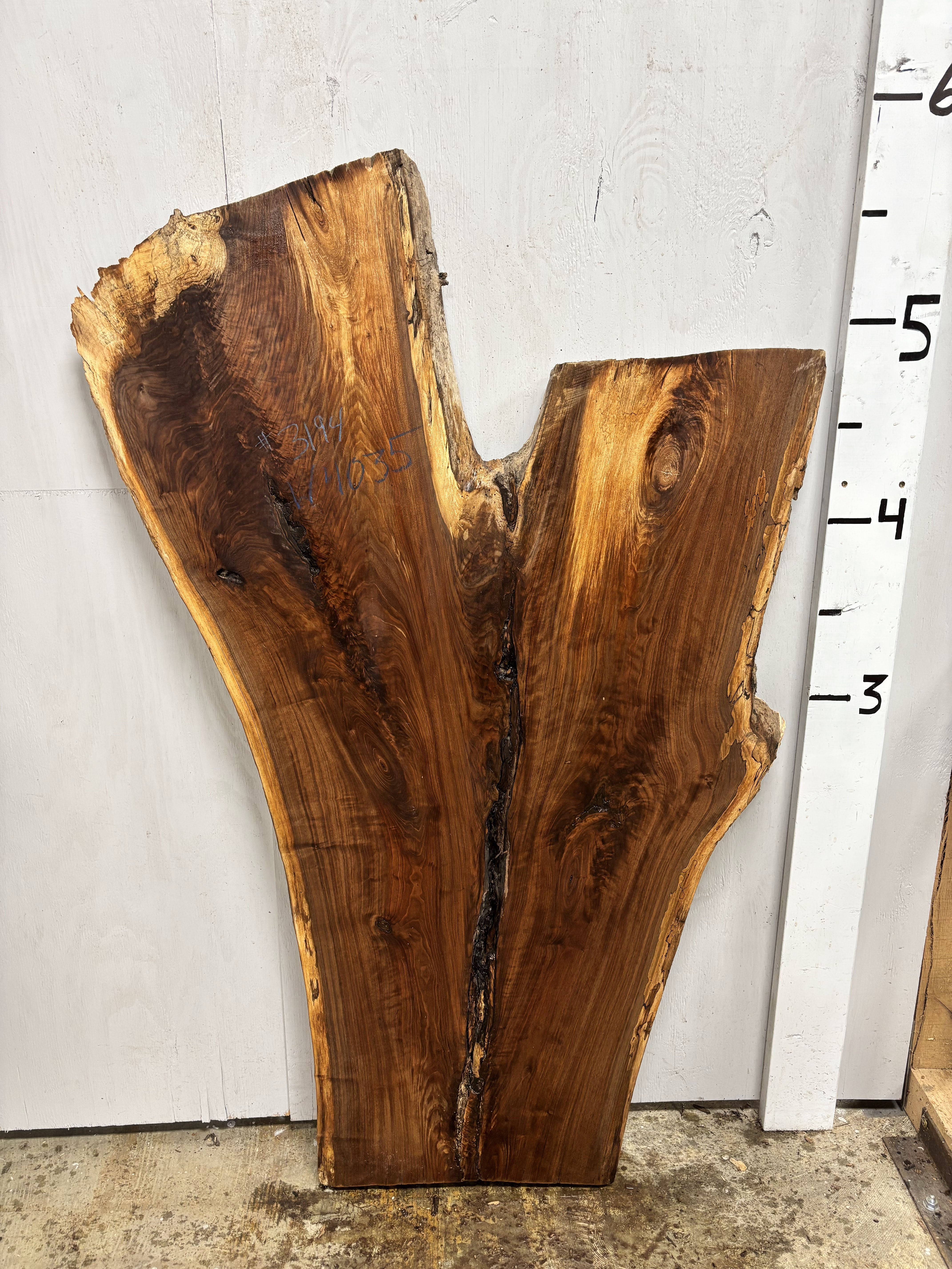 W4035 Walnut Slab