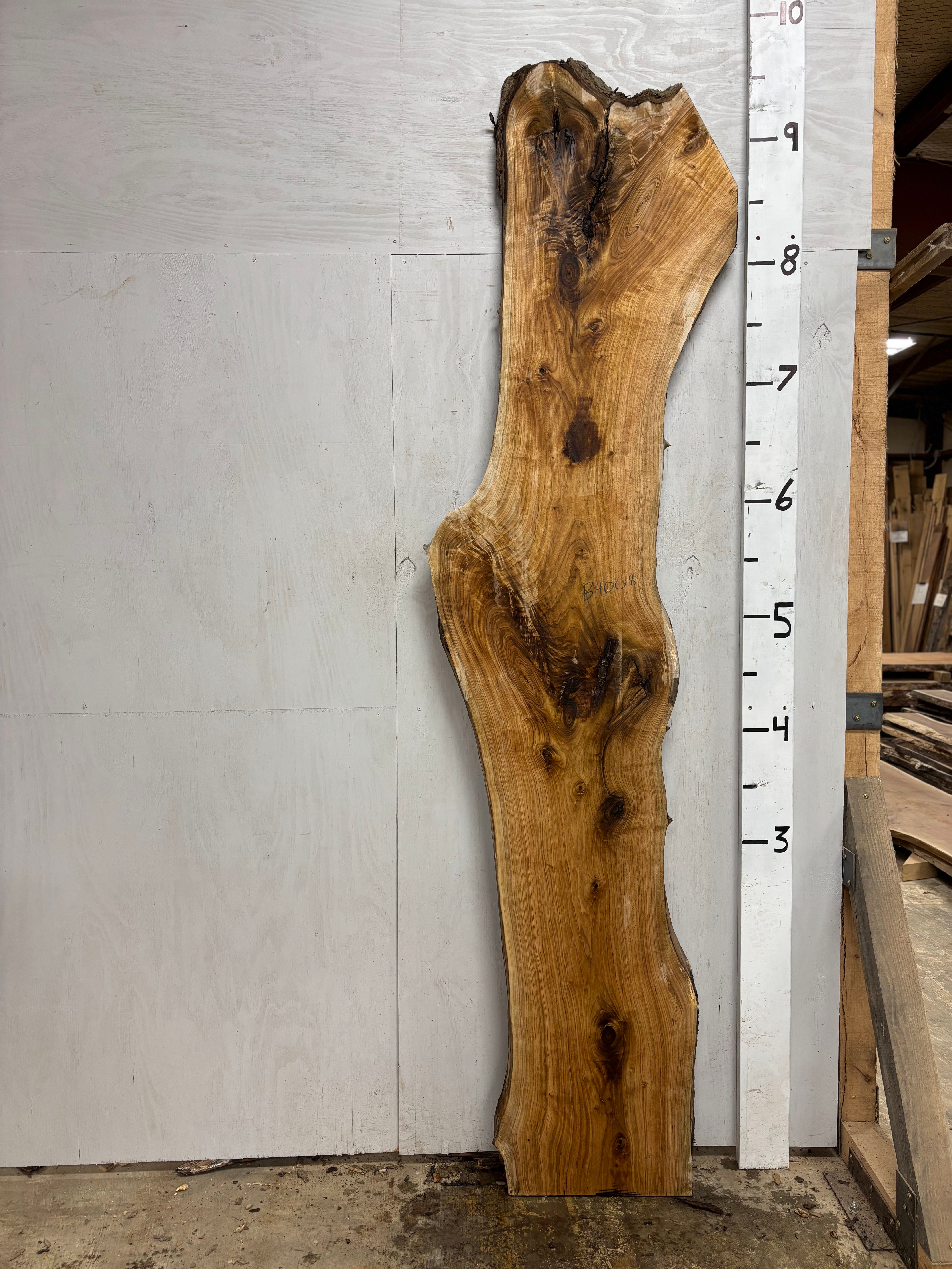 B4008 Butternut Slab