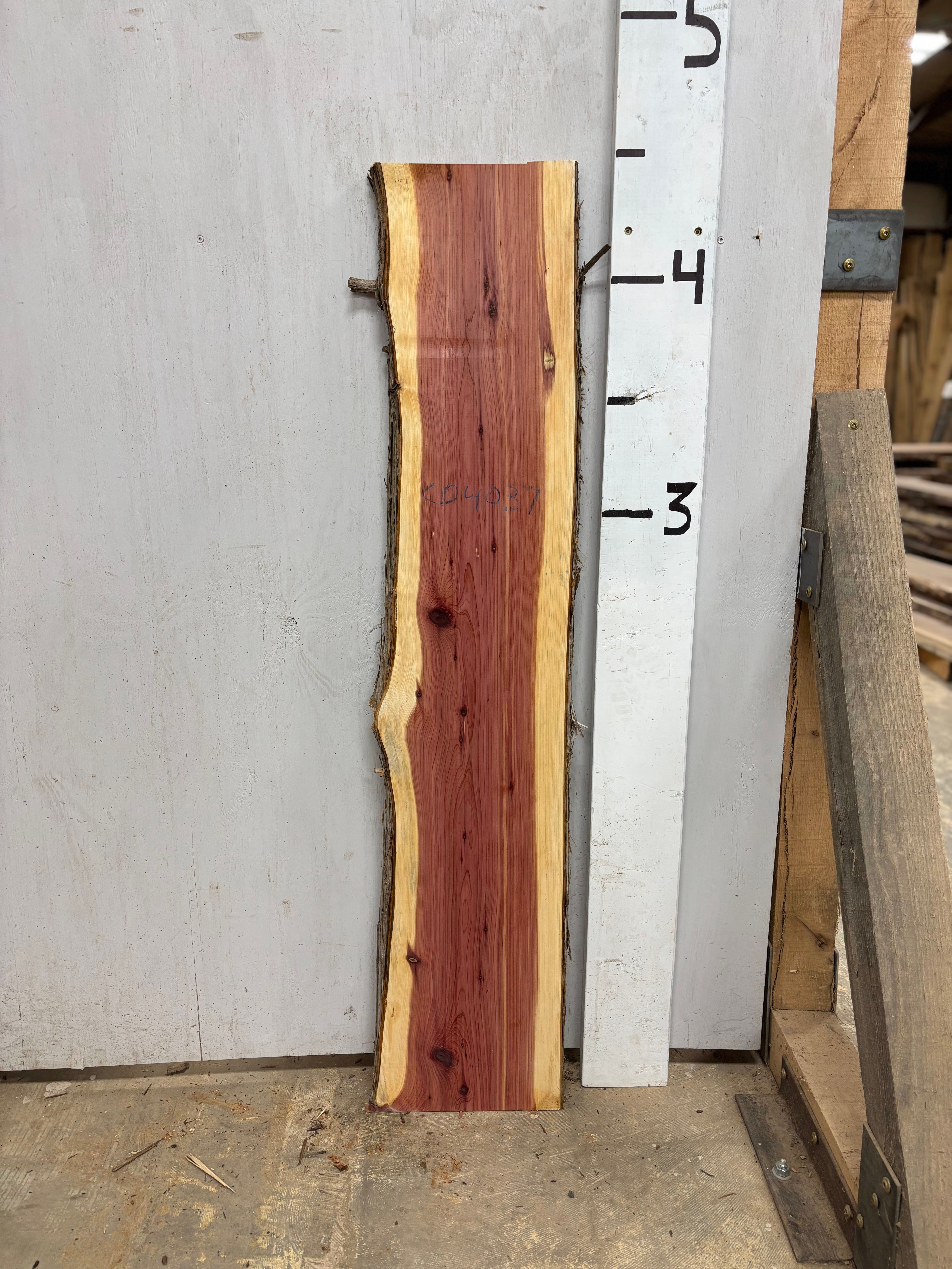 CD4037 Cedar Slab