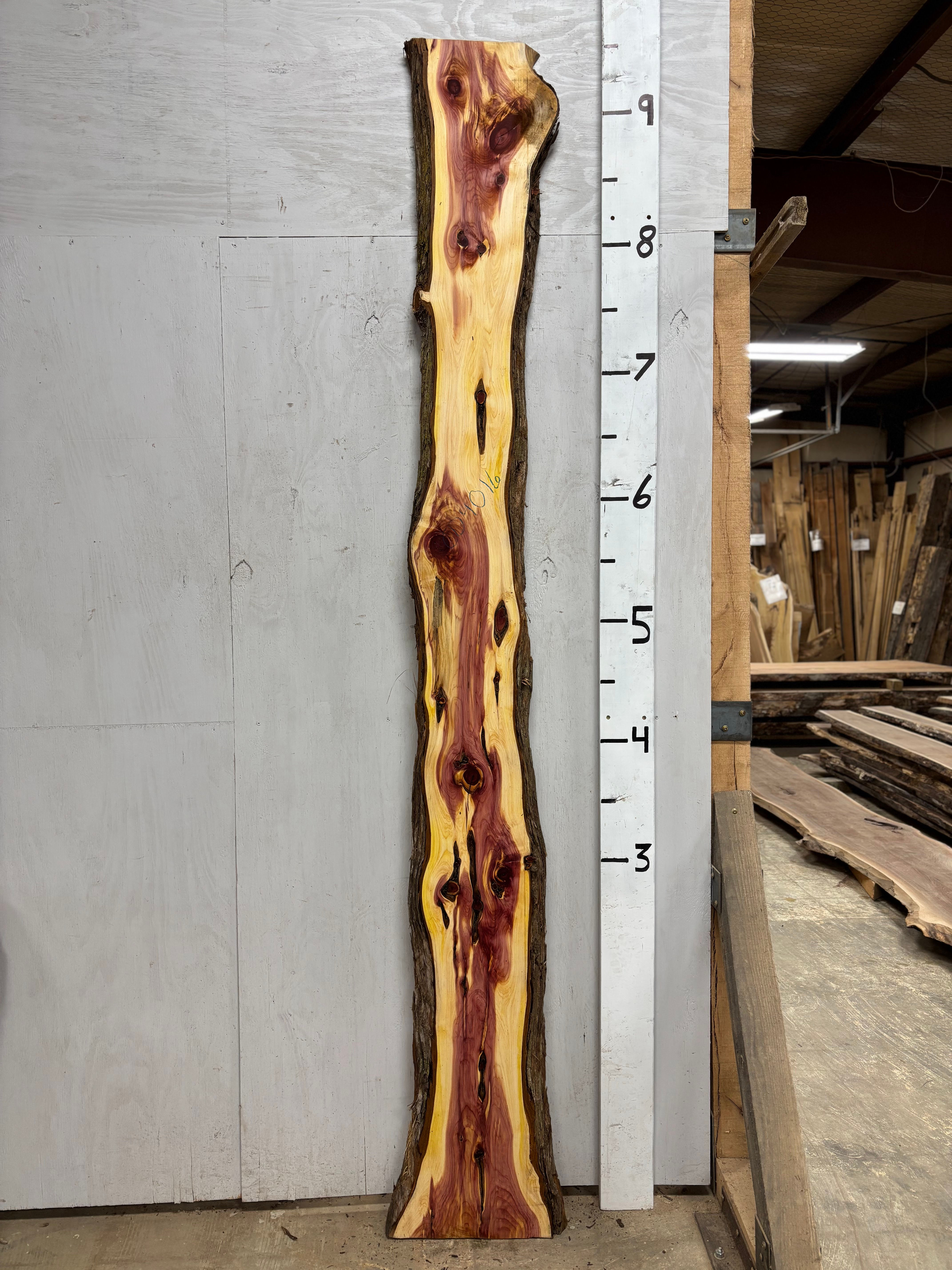 CD4016 Cedar Slab