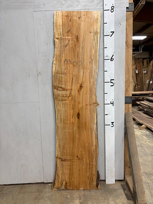 M4043 Maple Slab