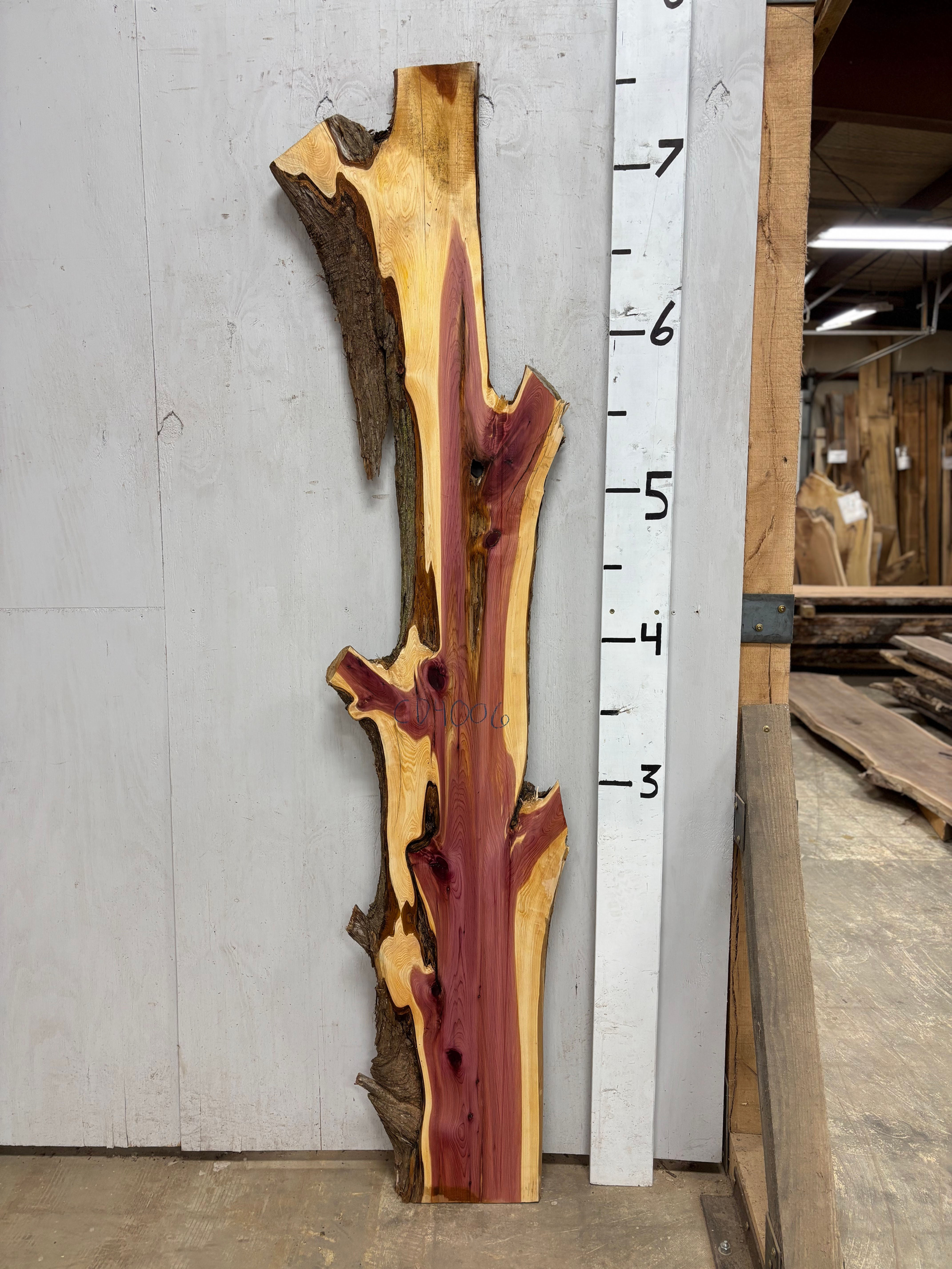 CD4006 Cedar Slab