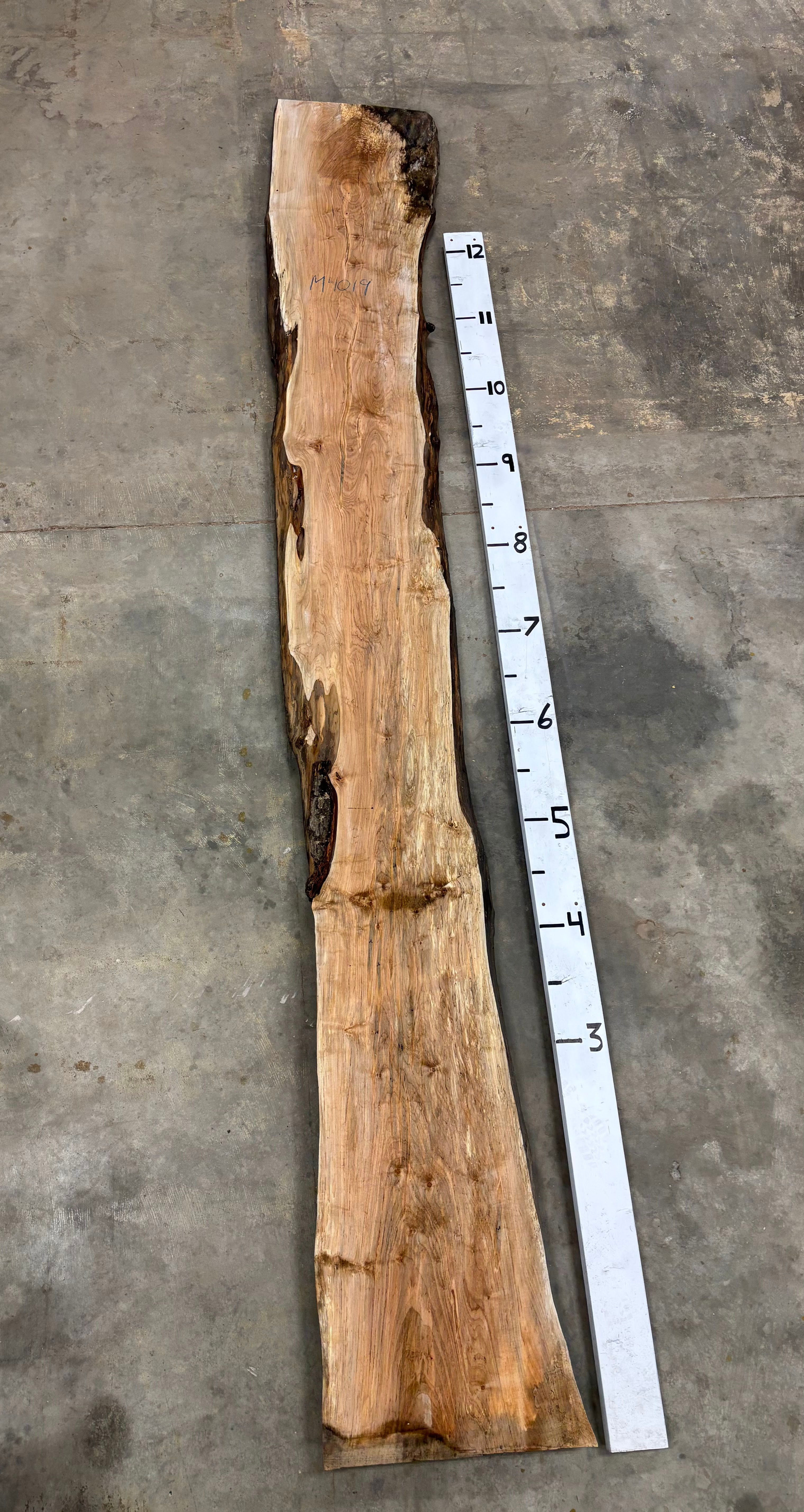 M4019 Spalted Maple Slab