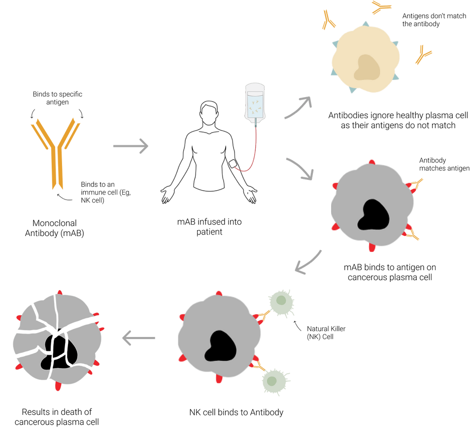 Technology HaemaLogiX