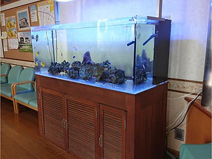 待合室内の熱帯魚の水槽