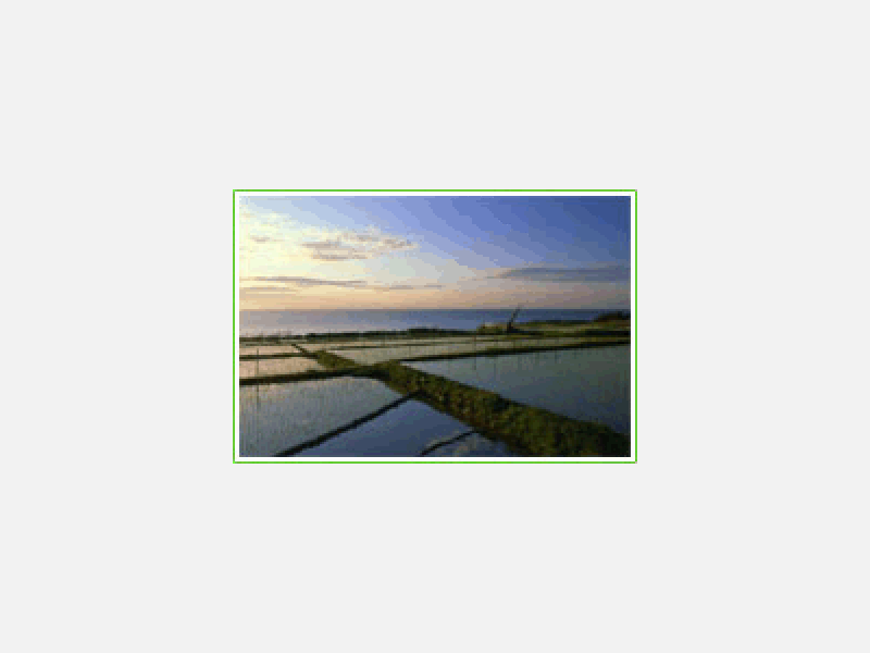 緑と青空