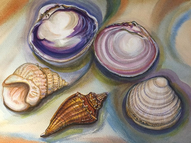 Watercolor Painting - Gifts from the Sea: Seashells and More