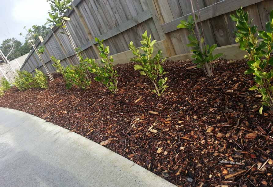 Greenscapes top benefits of bark & mulch