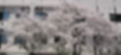053_edited.jpg