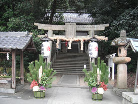 幸運!?