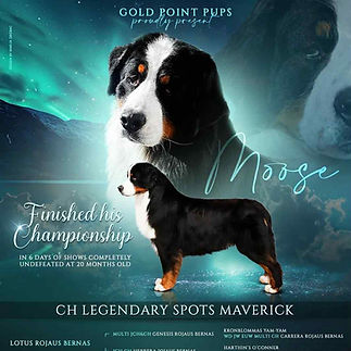 e131e642-3d5c-44f1-a379-85a34227bb24_edi