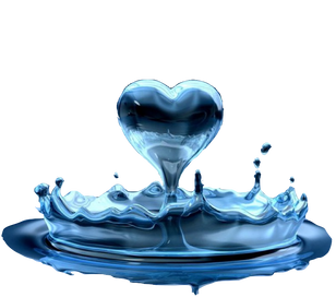 THE MISCONCEPTION OF LOVE