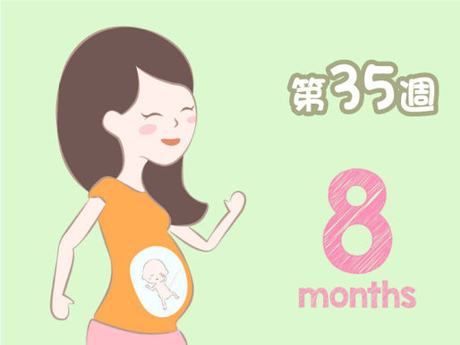 懷孕第35週:子宮壁變得較薄,容易感受到胎寶寶手腳的動作
