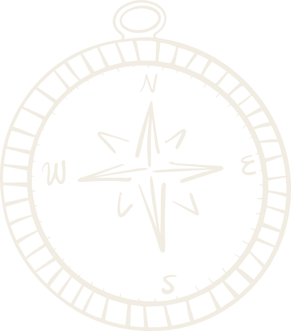 Asset 120white compass icon.png