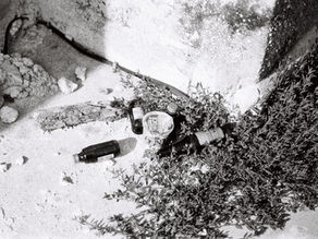 A black and white film photo of some empty bottles and a pot noodle laying in some debris and weeds.