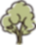 豊かな木