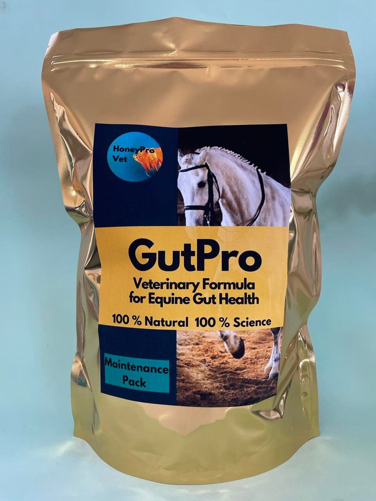 Why is Equine Gut Health so important? HoneyPro Vet