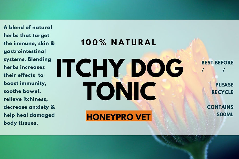 Thumbnail: Itchy Dog Tonic 300 ml