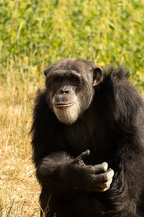 sans titre (24 sur 42).jpg